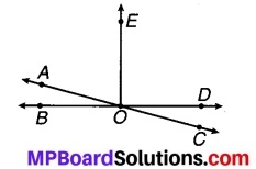 MP Board Class 7th Maths Solutions Chapter 5 रेखा एवं कोण Ex 5.1 8