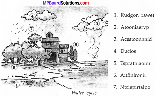 MP Board Class 7th Science Solutions Chapter 16 Water A Precious Resource image 3
