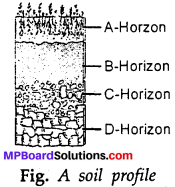 MP Board Class 7th Science Solutions Chapter 9 Soil img-7