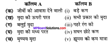 MP Board Class 7th Science Solutions Chapter 9 मृदा 2
