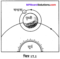 MP Board Class 8th Science Solutions Chapter 17 तारे एवं सौर परिवार 1