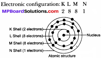 MP Board Class 9th Science Solutions Chapter 4 Structure of the Atom 25