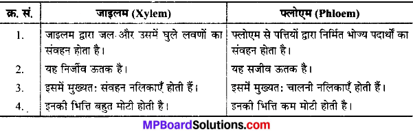 MP Board Class 9th Science Solutions Chapter 6 ऊतक image 17
