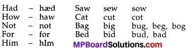 MP Board Class 10th English The Rainbow Solutions Chapter 17 The Bet 1