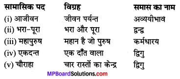 MP Board Class 10th Hindi Navneet Solutions गद्य Chapter 1 मैं और मेरा देश img-1