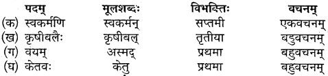 Class 10 Sanskrit Chapter 10 Mp Board