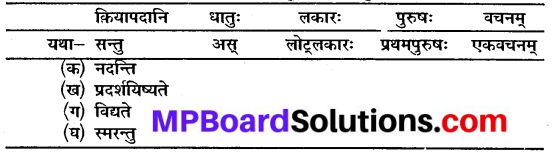 Sanskrit Class 10 Chapter 10 Mp Board