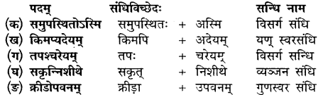 Mp Board Class 10th Sanskrit Chapter 11