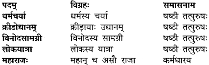 Chapter 11 Sanskrit Class 10