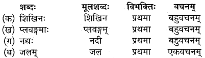 Class 10 Sanskrit Chapter 12