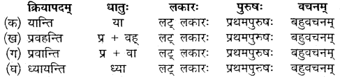 Class 10 Sanskrit Chapter 12 Mp Board