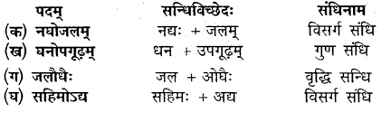 Chapter 12 Sanskrit Class 10