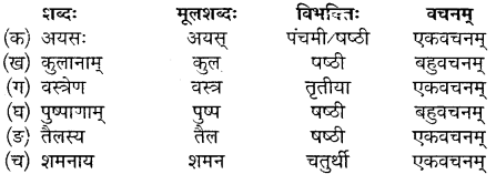 MP Board Class 10th Sanskrit Solutions Chapter 13 महाभारते विज्ञानम् img 3
