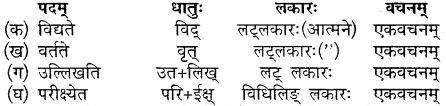 MP Board Class 10th Sanskrit Solutions Chapter 13 महाभारते विज्ञानम् img 5
