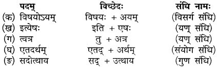 MP Board Class 10th Sanskrit Solutions Chapter 13 महाभारते विज्ञानम् img 7