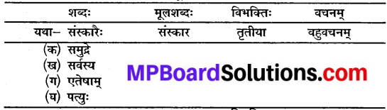 Mp Board Class 10 Sanskrit Chapter 16