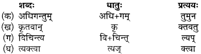 Sanskrit Chapter 16 Class 10 Mp Board