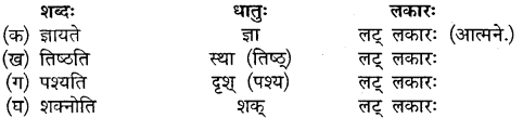 Mp Board Class 10th Sanskrit Chapter 16