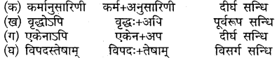 MP Board Class 10th Sanskrit Solutions Chapter 17 चाणक्यनीतिः img 6