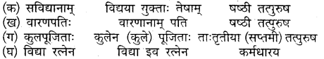 MP Board Class 10th Sanskrit Solutions Chapter 17 चाणक्यनीतिः img 8