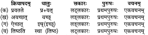 Class 10 Sanskrit Chapter 18