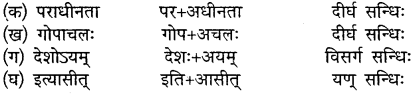 Sanskrit Class 10 Chapter 18 Mp Board