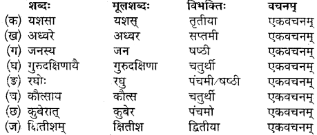 MP Board Class 10th Sanskrit Solutions Chapter 19 गुरुदक्षिणा img 3