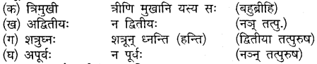 Mp Board Solution Class 10 Sanskrit Chapter 20