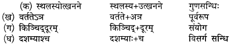 Sanskrit Class 10 Chapter 20 Mp Board