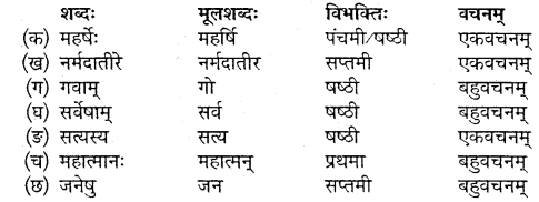 Class 10 Sanskrit Chapter 3