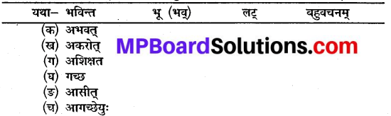 Mp Board Class 10 Sanskrit Chapter 3