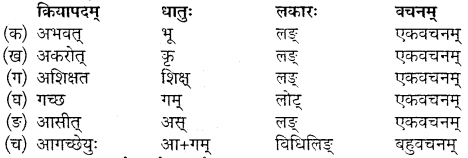 Mp Board Class 10th Sanskrit Chapter 3