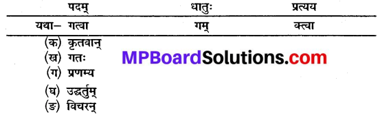 Class 10th Sanskrit Chapter 3 MP Board
