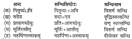 Class 10 Sanskrit Chapter 3 Question Answer