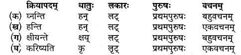 Chapter 4 Sanskrit Class 10 Mp Board