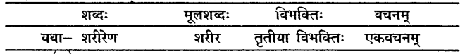 Mp Board Class 10 Sanskrit Chapter 5