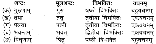 Class 10 Sanskrit Chapter 5 