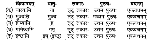 Class 10th Sanskrit Chapter 5