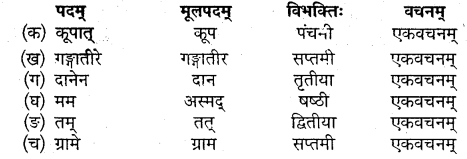MP Board Class 10th Sanskrit Solutions Chapter 6 यशः शरीरम् img 3