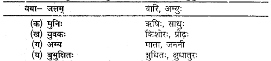 MP Board Class 10th Sanskrit Solutions Chapter 6 यशः शरीरम् img 7