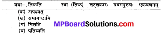 Mp Board Class 10 Sanskrit Chapter 9
