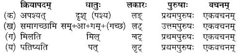Class 10 Sanskrit Chapter 9 MP Board