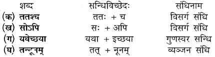 Class 10 Sanskrit Chapter 9 Question Answer MP Board