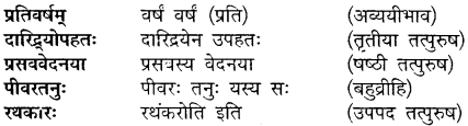 Sanskrit Class 10 Chapter 9 Mp Board