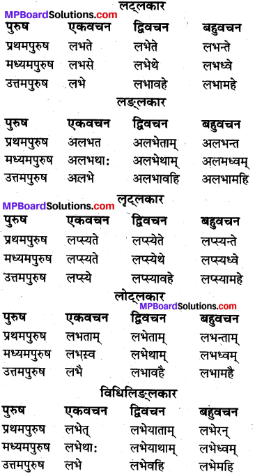 MP Board Class 10th Sanskrit व्याकरण धातु रूप-प्रकरण img 11