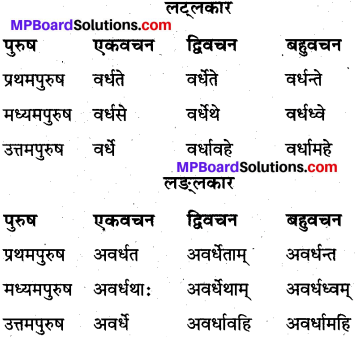 MP Board Class 10th Sanskrit व्याकरण धातु रूप-प्रकरण img 14