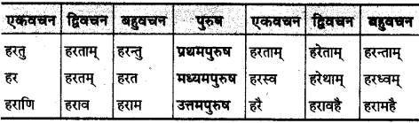 MP Board Class 10th Sanskrit व्याकरण धातु रूप-प्रकरण img 27
