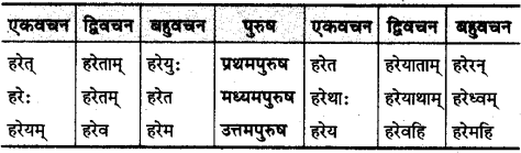 MP Board Class 10th Sanskrit व्याकरण धातु रूप-प्रकरण img 28