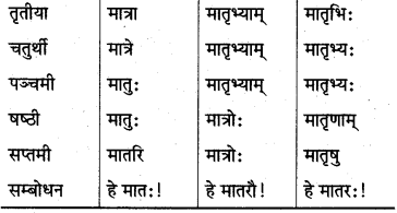 MP Board Class 10th Sanskrit व्याकरण शब्द रूप-प्रकरण img 11