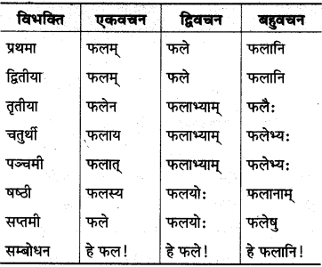 MP Board Class 10th Sanskrit व्याकरण शब्द रूप-प्रकरण img 12